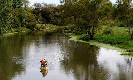 Special Feature: Paddle Sports from Lake County Forest Preserves